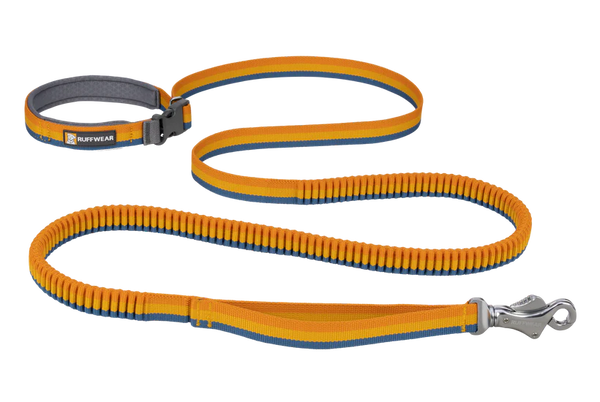 Roamer™ Bungee Dog Leash